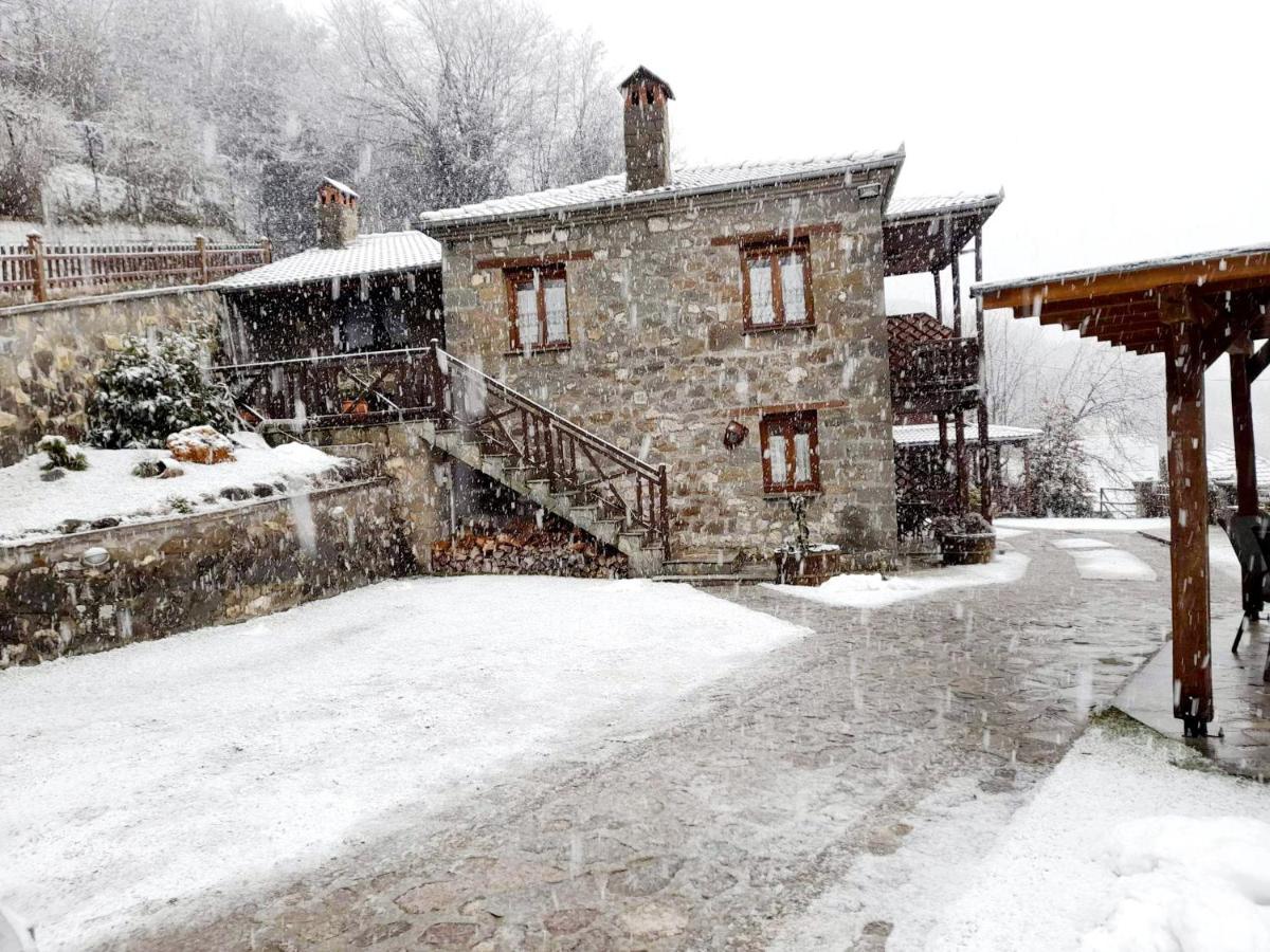 Πέτρινο Όραμα Hotel Kotronion  Exterior foto