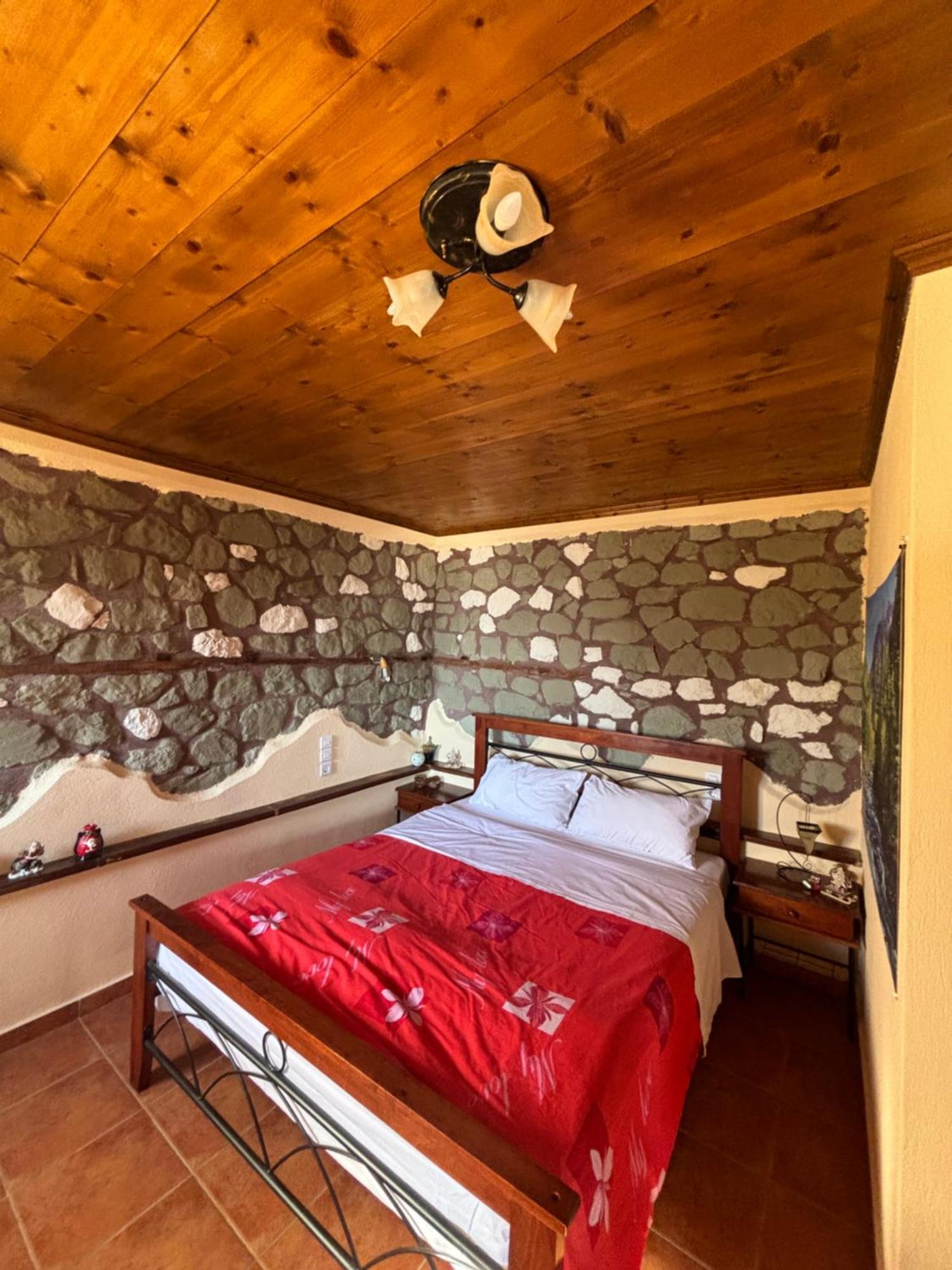 Πέτρινο Όραμα Hotel Kotronion  Exterior foto